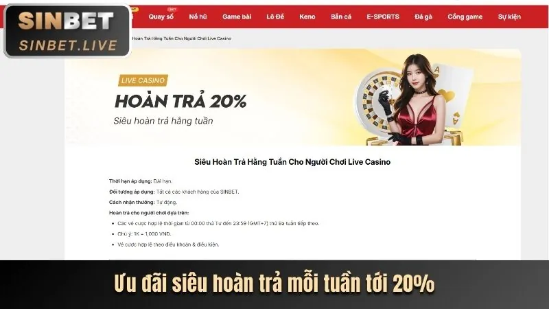 Cấp độ VIP Đồng của dbet login